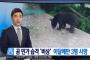 【韓国の反応】日本、クマの民家襲撃で「非常事態」先月だけで3人が死亡