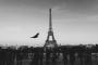 誰だよフランスが働くにはいい国って言ってたヤツ