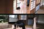 【過激画像】川本紗矢のグラビアを見ていると精子が溢れそうになる・・・