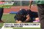 【日本代表】長友まさかのアクシデント、脳振とうで離脱！接触シーンへの反響