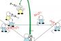 何故キックベースは学校の体育程度で終わってしまうのか