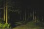 深夜の神社、深夜の墓地、深夜の森、深夜の海　一人で行くならどれが一番怖い？