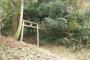 山奥とか人が来ないような場所にある祠とか神社ってどうやって見つけてる？
