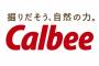 【画像あり】カルビー、「ポテトチップス パクチー味」発売
