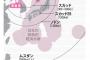 【軍事】 北朝鮮が日本をミサイル攻撃、戦慄シミュレーション・・・東京・死者42万3627人、大阪・死者48万2088人、広島・死者6万6千人