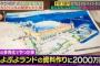 【朗報】千葉に超大型テーマパーク「ぷよぷよランド」建設決定ｗｗｗｗｗｗｗｗｗｗ