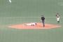 【悲報】松井雅人さん、塁上で刺され無事死亡
