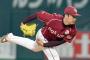 松井裕樹(21) 31回 被安打13 33奪三振 3勝1敗 2H 21S 防御率0.28	