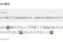 【AKB48】大川莉央「他のグループが良くてAKBが17歳以下はtwitterができない理由がわからない」