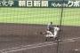 【悲報】甲子園で誤審