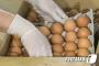 【韓国】韓国でも国産卵から“殺虫剤”成分を検出…全国の卵出荷停止