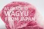 日本の和牛を400日間ドライエイジングした結果（海外の反応）