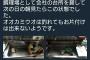 【悲報】鉄腕ダッシュ終了のお知らせ…とんでもない裏側発覚…（画像あり）