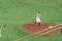 【GIF】サファテの喜び方ｗｗｗｗ