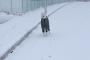 ボルゾイさんは雪好きですか？