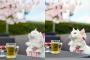 【実写版！？】おしゃれキャット マリーちゃん