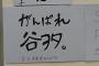 谷真理佳ちゃんより『がんばれ谷ヲタ。』