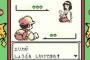 ポケモンのカントー地方で好きだったジムリーダーランキング