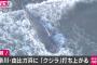 【神奈川】「クジラがいる」 鎌倉市の由比ケ浜の海岸にクジラ打ち上げられる　 	