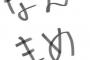 彡(ﾟ)(ﾟ)「通信制限かかってもうた……せや、なんまめ見たろ！」