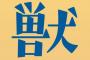 【大悲報】ガッキーの新ドラマ、ガチで逝きそう・・・