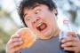 【緊急】マクドナルドさん、ガチでデブらせにくるｗｗｗｗ（※画像あり）