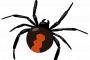 【アカン】毒蜘蛛注意の看板の横