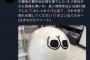 【乃木坂46】HMV仙台EBeanSに巨大“どいやさん”が設置！
