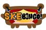 正直、SKEBINGOってどう？