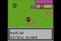 ポケモン主人公「道端に落し物あるやん。せや、ワイのものにしたろ！」