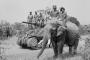 アフリカで密猟者と戦った英兵士、活動中にゾウに遭遇して死亡…近衛歩兵隊に所属！