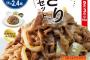 【画像】松屋からの挑戦状きたーｗｗｗこの肉の量はヤバすぎる！！