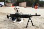 「犬が22口径の銃を発砲」緊急通報オペレーターも驚くまさかの事故…アメリカ！