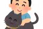 猫動画「にゃーん」ワイ「可愛いなぁ」おっさんの声「甘えん坊だなあ」ワイ「」動画停止低評価ポチ