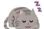 【画像あり♪】20万で猫買って１週間が経ったぞおおおおおおおおおおおおおおおおおｗ
