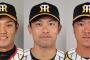 入院の阪神３選手の退院めど立たず　２度のＰＣＲ検査で陰性となることが条件