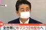 「布マスク配布に466億円！？そのお金を国民に配れ！」 ⇒ いくらになるか計算してみた結果wWww