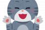 【かわいすぎる】LINEで送られてきたICEBOX冷やし猫ｗｗｗｗｗｗ