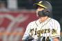梅野隆太郎(29).343(99-34) 3本 12打点 出塁率.440 得点圏.350 OPS.955←こいつｗｗ