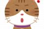 「嘘だな」って思った世の常識