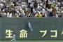 プロ野球史上1番身体能力の高かった日本人選手って誰なん？