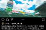 【画像】藤浪が一眼レフで撮った写真からセンスが溢れ出る