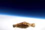 【画像】水戸納豆が2020年“宇宙の旅”へｗｗｗ