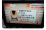 【画像】大学生「卒業旅行をするなという陰へ」