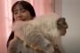 【衝撃】島崎遥香の飼い猫がギネス級の大きさでやばすぎるwwwww