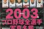 2000年代前半とかいうプロ野球ユニフォーム全盛期wwwwww