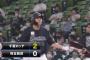 ロッテ安田 .246(211-52) 6本 41打点 OPS.709←この成績に対する正直な感想