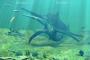 【画像】かつて地球に存在した史上最大の魚竜「ショニサウルス」が怖すぎるwywywy