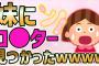 【2ch面白いスレ】妹にロ◯ター見つかったんだがどうしたらいい？ｗｗｗ【ゆっくり解説】