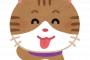 【衝撃】ウチの庭に首輪を付けた猫が迷いこんできた→首輪についてた連絡先に電話してみると、なんとその猫は・・・